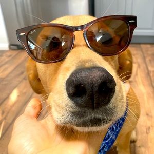 Vintage cat eye Ray Bans